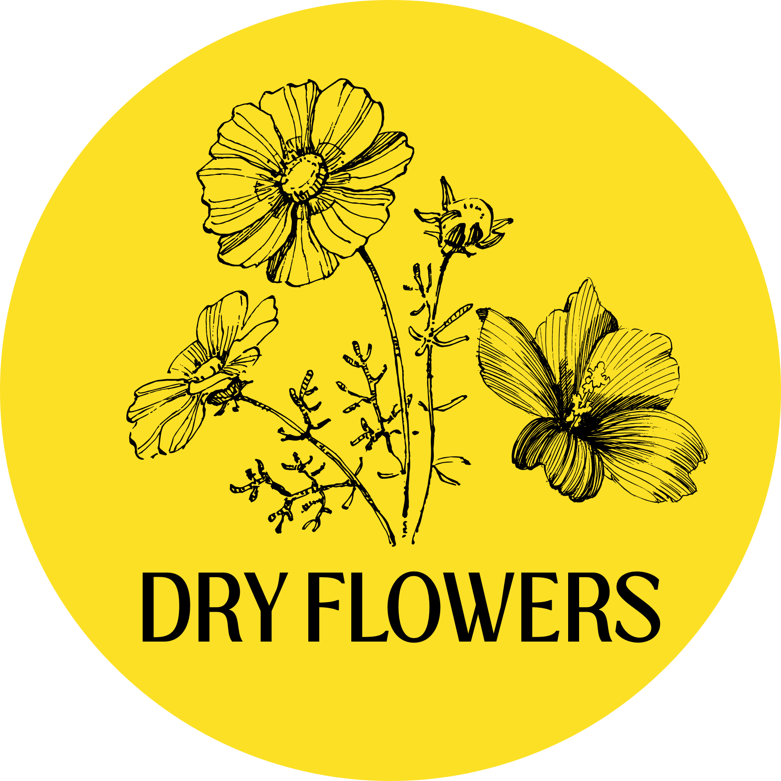 Dry flowers